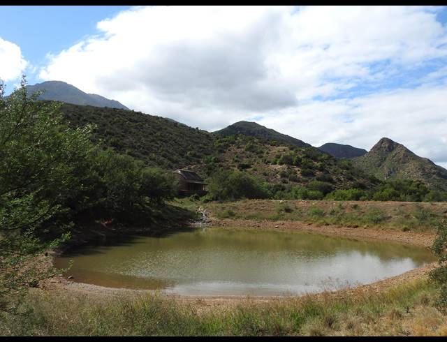 77HA FARM FOR SALE IN CALITZDORP RURAL